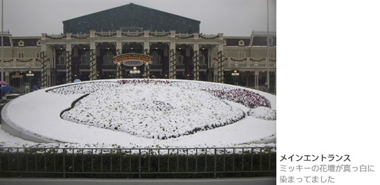 東京ディズニーランド雪の日の写真 