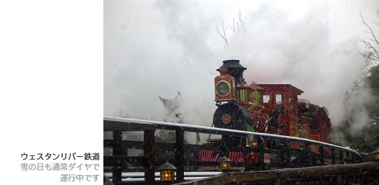 東京ディズニーランド雪の日の写真 