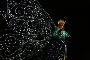 東京ディズニーランド・エレクトリカルパレード・ドリームライツ クリスマスバージョン