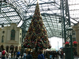 東京ディズニーランド・クリスマス・ファンタジー2005 クリスマスツリー